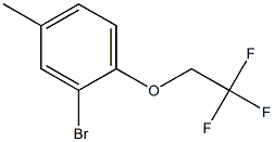 2-bromo-4-methyl-1-(2,2,2-trifluoroethoxy)benzene Struktur