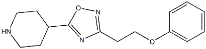 3-(2-phenoxyethyl)-5-(piperidin-4-yl)-1,2,4-oxadiazole Struktur