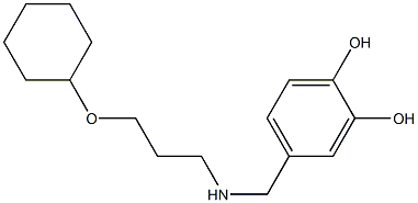 4-({[3-(cyclohexyloxy)propyl]amino}methyl)benzene-1,2-diol Struktur