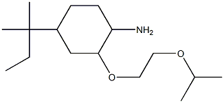 4-(2-methylbutan-2-yl)-2-[2-(propan-2-yloxy)ethoxy]cyclohexan-1-amine Struktur