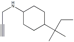 4-(2-methylbutan-2-yl)-N-(prop-2-yn-1-yl)cyclohexan-1-amine Struktur