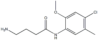 4-amino-N-(4-chloro-2-methoxy-5-methylphenyl)butanamide Struktur