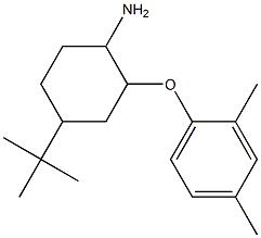 4-tert-butyl-2-(2,4-dimethylphenoxy)cyclohexan-1-amine Struktur