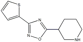 5-(piperidin-3-yl)-3-(thiophen-2-yl)-1,2,4-oxadiazole Struktur