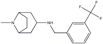 8-methyl-N-{[3-(trifluoromethyl)phenyl]methyl}-8-azabicyclo[3.2.1]octan-3-amine Struktur