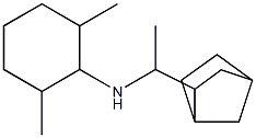 N-(1-{bicyclo[2.2.1]heptan-2-yl}ethyl)-2,6-dimethylcyclohexan-1-amine Struktur