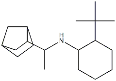 N-(1-{bicyclo[2.2.1]heptan-2-yl}ethyl)-2-tert-butylcyclohexan-1-amine Struktur