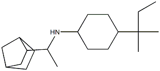 N-(1-{bicyclo[2.2.1]heptan-2-yl}ethyl)-4-(2-methylbutan-2-yl)cyclohexan-1-amine Struktur