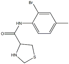 N-(2-bromo-4-methylphenyl)-1,3-thiazolidine-4-carboxamide Struktur