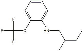 N-(2-methylbutyl)-2-(trifluoromethoxy)aniline Struktur