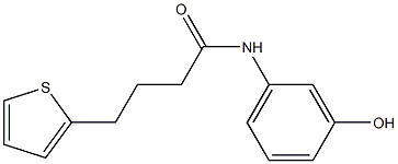 N-(3-hydroxyphenyl)-4-(thiophen-2-yl)butanamide Struktur