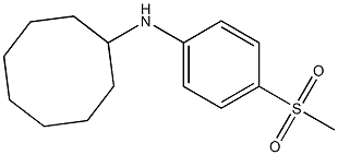 N-(4-methanesulfonylphenyl)cyclooctanamine Struktur