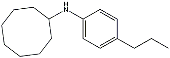 N-(4-propylphenyl)cyclooctanamine Struktur