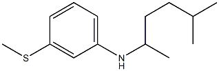 N-(5-methylhexan-2-yl)-3-(methylsulfanyl)aniline Struktur