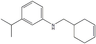 N-(cyclohex-3-en-1-ylmethyl)-3-(propan-2-yl)aniline Struktur