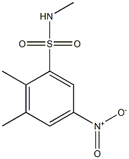 N,2,3-trimethyl-5-nitrobenzene-1-sulfonamide Struktur