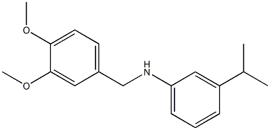 N-[(3,4-dimethoxyphenyl)methyl]-3-(propan-2-yl)aniline Struktur