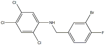 N-[(3-bromo-4-fluorophenyl)methyl]-2,4,5-trichloroaniline Struktur