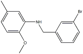 N-[(3-bromophenyl)methyl]-2-methoxy-5-methylaniline Struktur