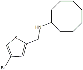 N-[(4-bromothiophen-2-yl)methyl]cyclooctanamine Struktur