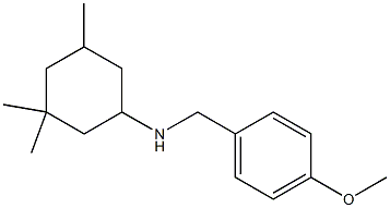 N-[(4-methoxyphenyl)methyl]-3,3,5-trimethylcyclohexan-1-amine Struktur