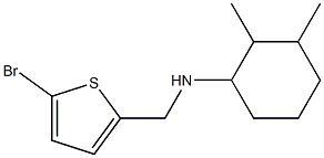 N-[(5-bromothiophen-2-yl)methyl]-2,3-dimethylcyclohexan-1-amine Struktur