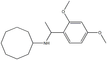 N-[1-(2,4-dimethoxyphenyl)ethyl]cyclooctanamine Struktur