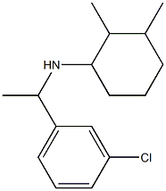 N-[1-(3-chlorophenyl)ethyl]-2,3-dimethylcyclohexan-1-amine Struktur