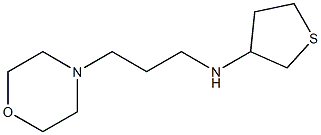 N-[3-(morpholin-4-yl)propyl]thiolan-3-amine Struktur