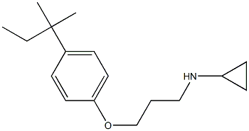 N-{3-[4-(2-methylbutan-2-yl)phenoxy]propyl}cyclopropanamine Struktur