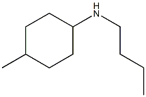 N-butyl-4-methylcyclohexan-1-amine Struktur