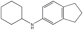 N-cyclohexyl-2,3-dihydro-1H-inden-5-amine Struktur