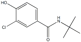 N-tert-butyl-3-chloro-4-hydroxybenzamide Struktur