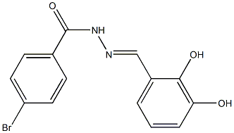 4-bromo-N'-[(E)-(2,3-dihydroxyphenyl)methylidene]benzohydrazide Struktur