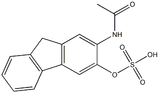 N-[3-(Sulfooxy)-9H-fluoren-2-yl]acetamide Struktur