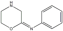 2-Phenyliminotetrahydro-2H-1,4-oxazine Struktur