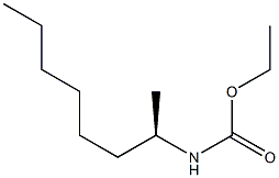 (-)-[(R)-1-Methylheptyl]carbamic acid ethyl ester Struktur