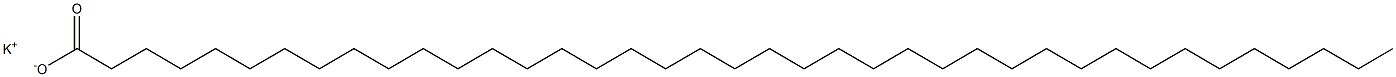 Nonatriacontanoic acid potassium salt Struktur