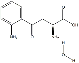 Kynurenic acid monohydrate Struktur