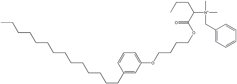 N,N-Dimethyl-N-benzyl-N-[1-[[4-(3-tetradecylphenyloxy)butyl]oxycarbonyl]butyl]aminium Struktur