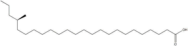 [R,(-)]-21-Methyltetracosanoic acid Struktur