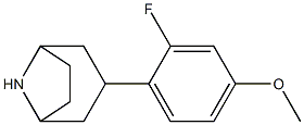 3-(2-fluoro-4-methoxyphenyl)-8-azabicyclo[3.2.1]octane Struktur