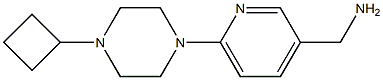 1-[6-(4-CYCLOBUTYLPIPERAZIN-1-YL)PYRIDIN-3-YL]METHANAMINE Struktur