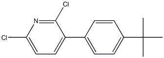 3-(4-TERT-BUTYLPHENYL)-2,6-DICHLOROPYRIDINE Struktur