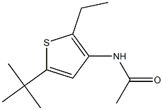 N1-[5-(tert-butyl)-2-ethyl-3-thienyl]acetamide Struktur