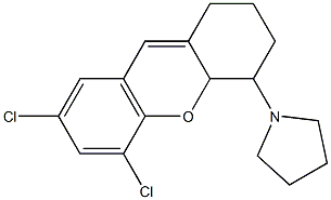 1-(5,7-dichloro-2,3,4,4a-tetrahydro-1H-xanthen-4-yl)pyrrolidine Struktur