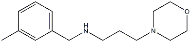 [(3-methylphenyl)methyl][3-(morpholin-4-yl)propyl]amine Struktur