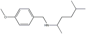 [(4-methoxyphenyl)methyl](5-methylhexan-2-yl)amine Struktur