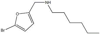 [(5-bromofuran-2-yl)methyl](hexyl)amine Struktur