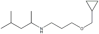 [3-(cyclopropylmethoxy)propyl](4-methylpentan-2-yl)amine Struktur